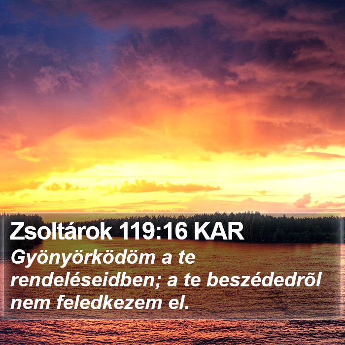 Zsoltárok 119:16 KAR Bible Study