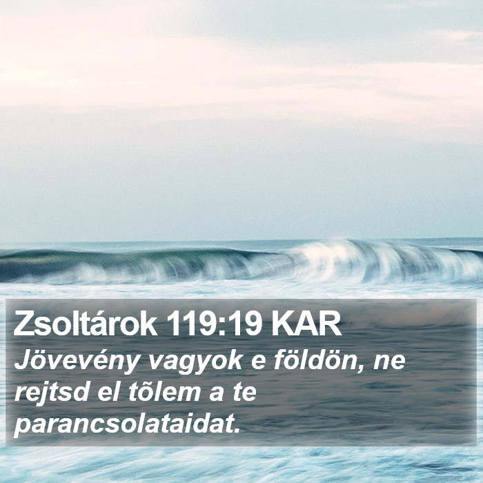 Zsoltárok 119:19 KAR Bible Study