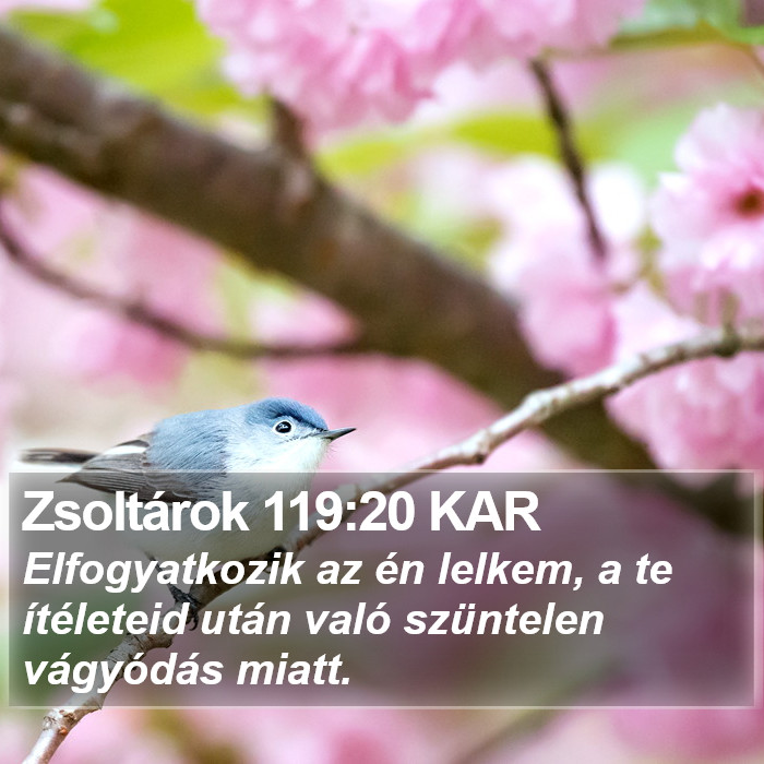Zsoltárok 119:20 KAR Bible Study