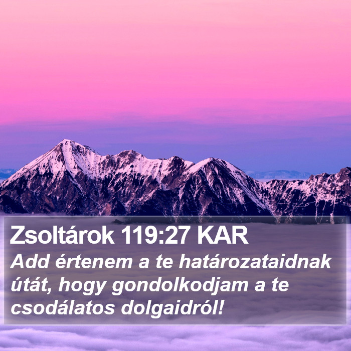 Zsoltárok 119:27 KAR Bible Study