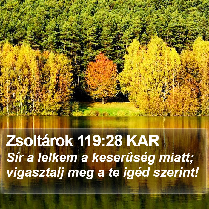 Zsoltárok 119:28 KAR Bible Study