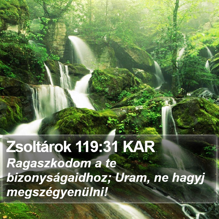 Zsoltárok 119:31 KAR Bible Study