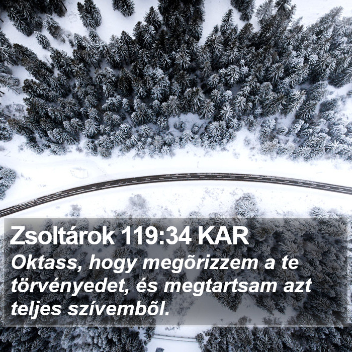 Zsoltárok 119:34 KAR Bible Study
