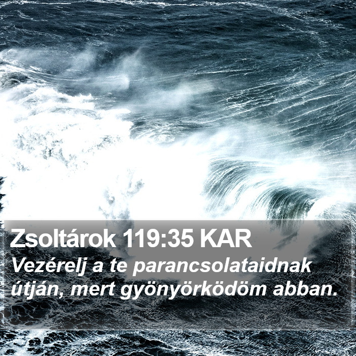 Zsoltárok 119:35 KAR Bible Study