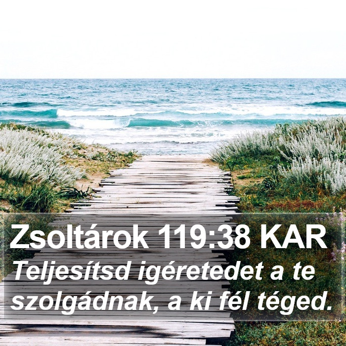 Zsoltárok 119:38 KAR Bible Study
