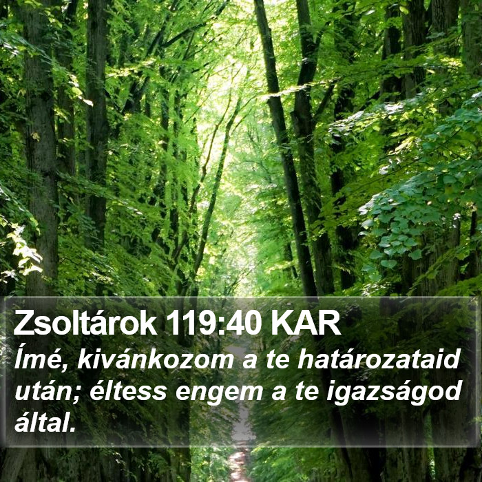 Zsoltárok 119:40 KAR Bible Study