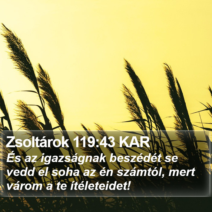 Zsoltárok 119:43 KAR Bible Study