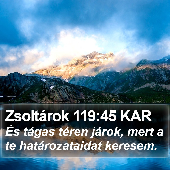 Zsoltárok 119:45 KAR Bible Study