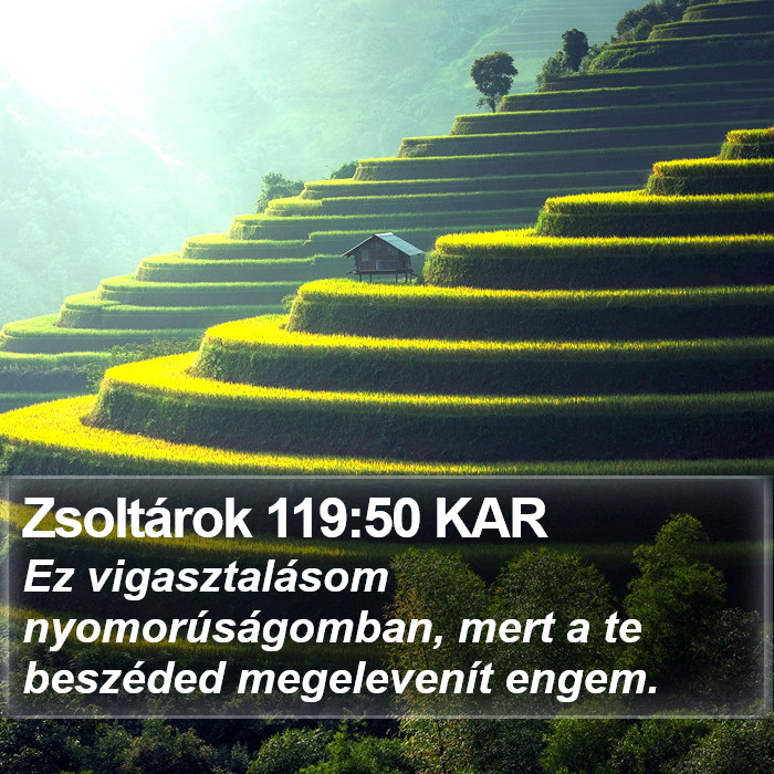 Zsoltárok 119:50 KAR Bible Study