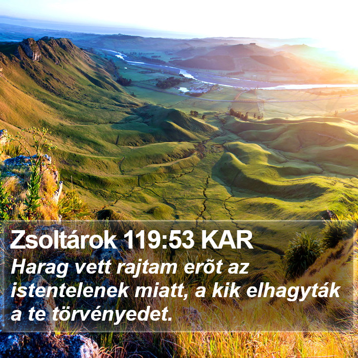 Zsoltárok 119:53 KAR Bible Study