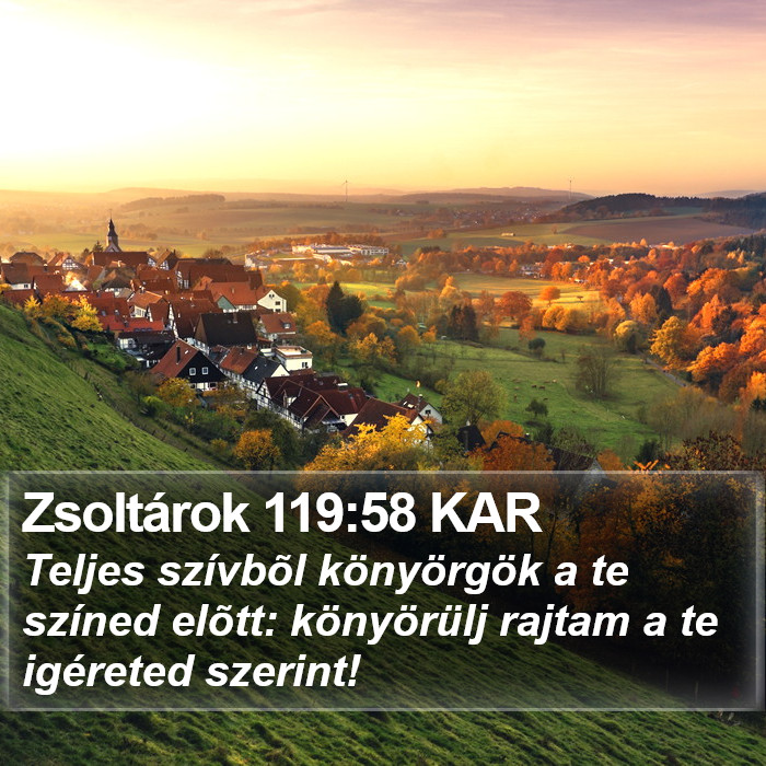 Zsoltárok 119:58 KAR Bible Study