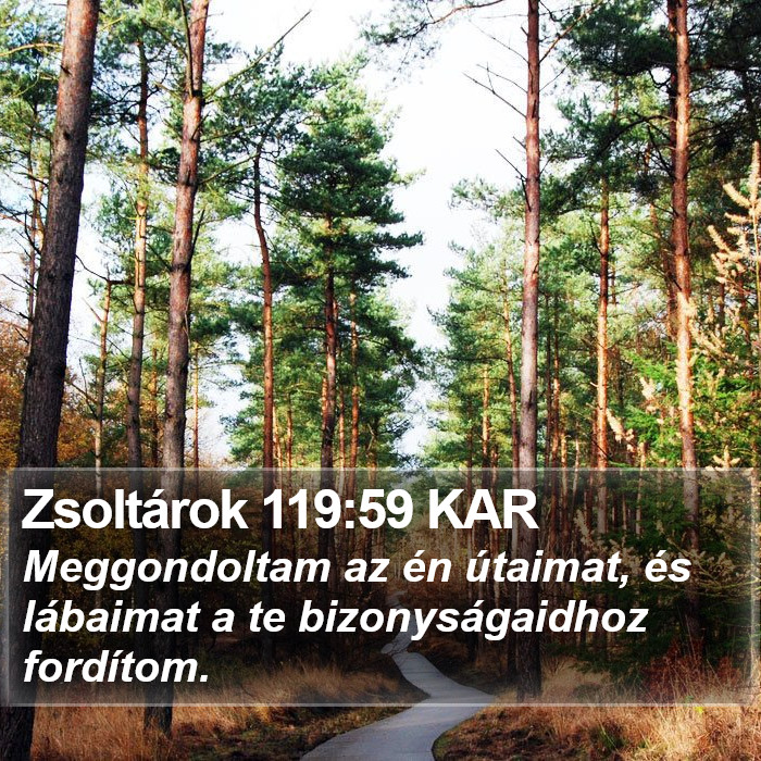 Zsoltárok 119:59 KAR Bible Study
