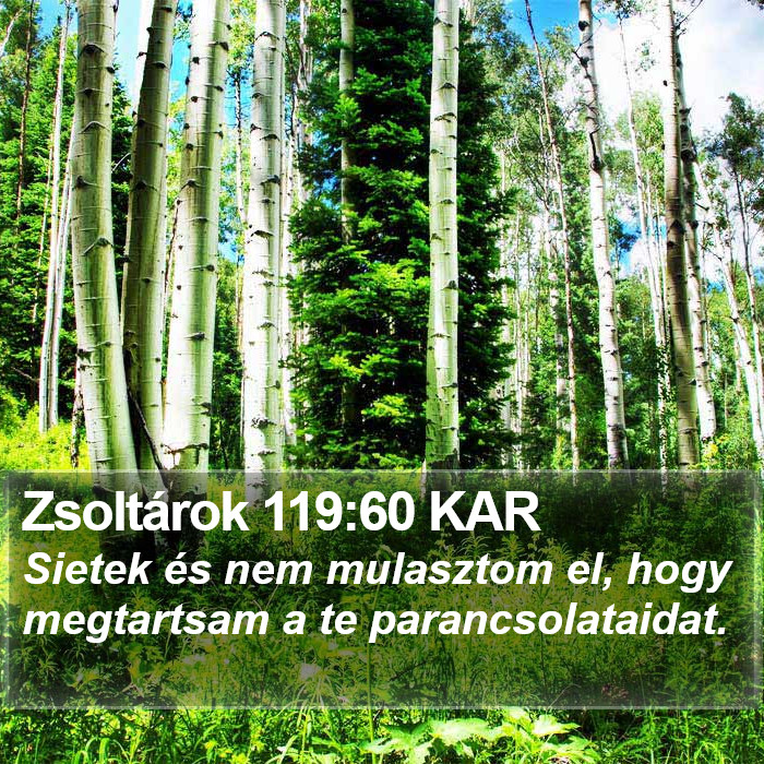 Zsoltárok 119:60 KAR Bible Study