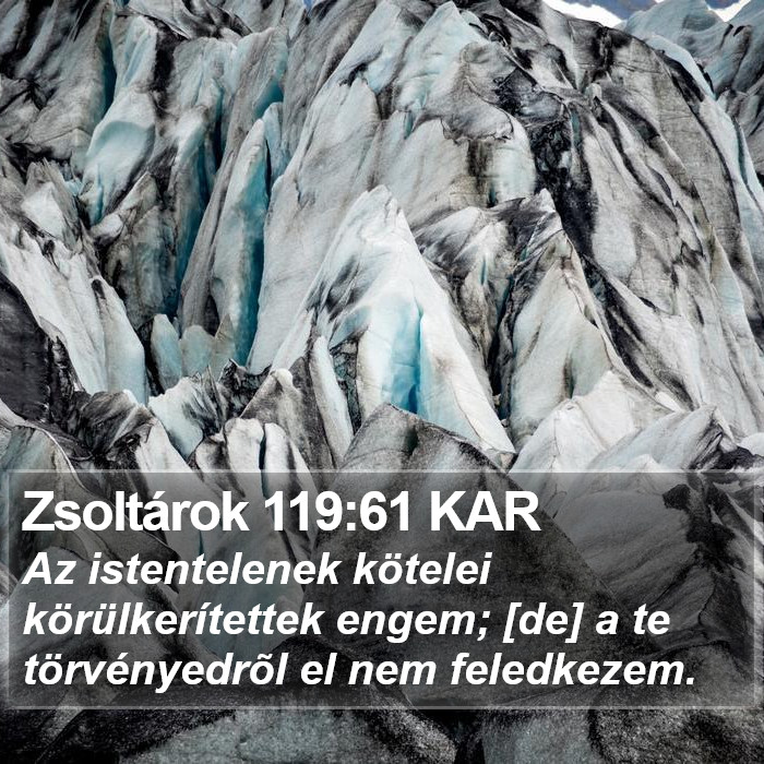 Zsoltárok 119:61 KAR Bible Study