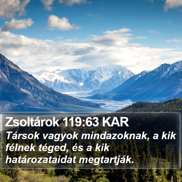 Zsoltárok 119:63 KAR Bible Study
