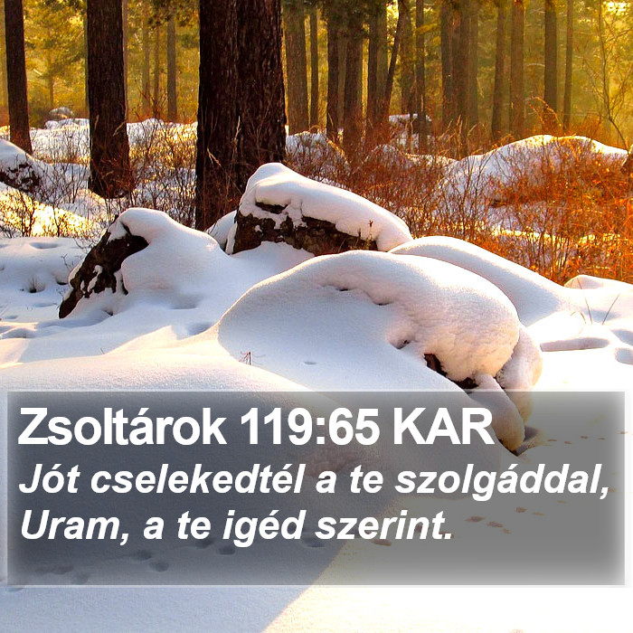 Zsoltárok 119:65 KAR Bible Study