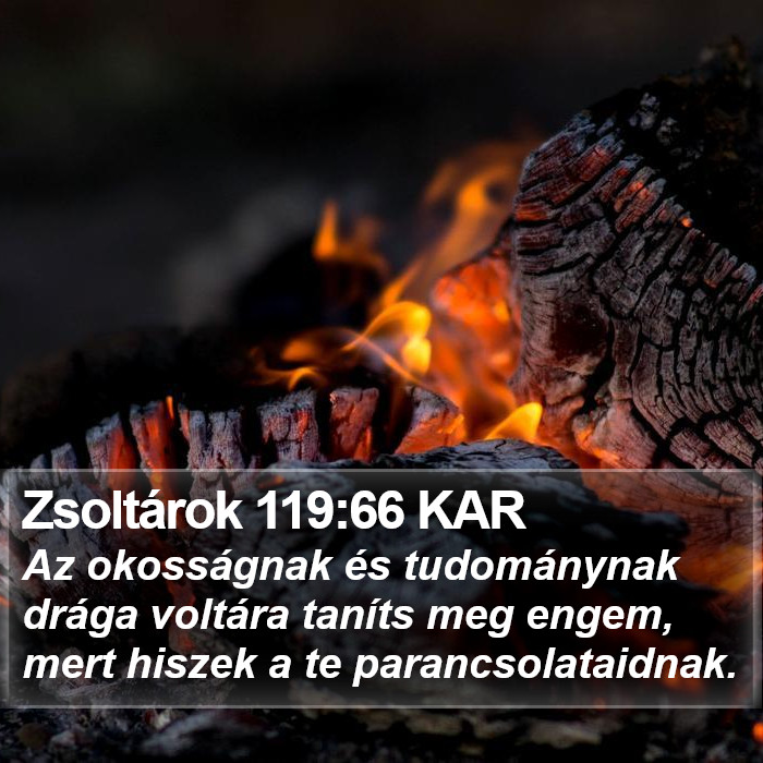 Zsoltárok 119:66 KAR Bible Study