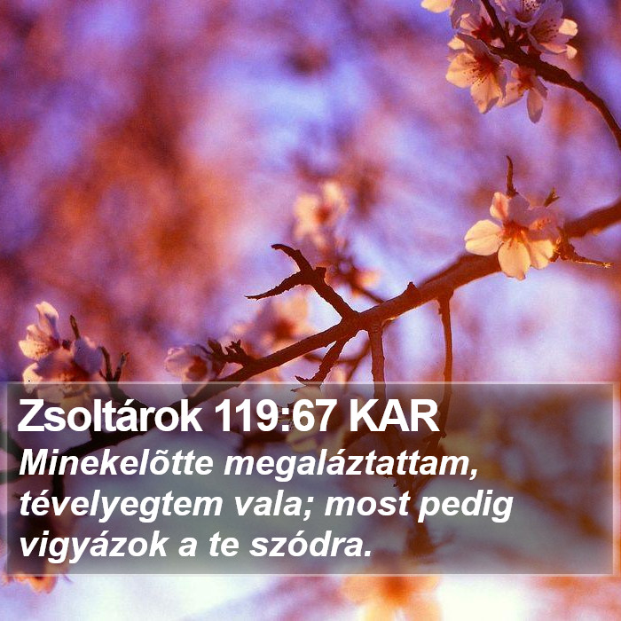 Zsoltárok 119:67 KAR Bible Study