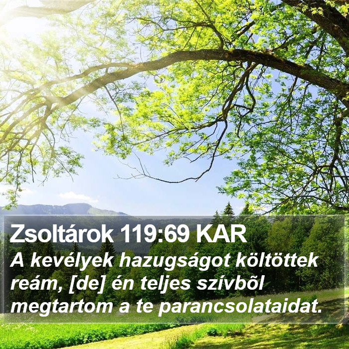 Zsoltárok 119:69 KAR Bible Study
