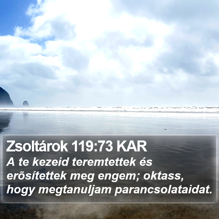 Zsoltárok 119:73 KAR Bible Study