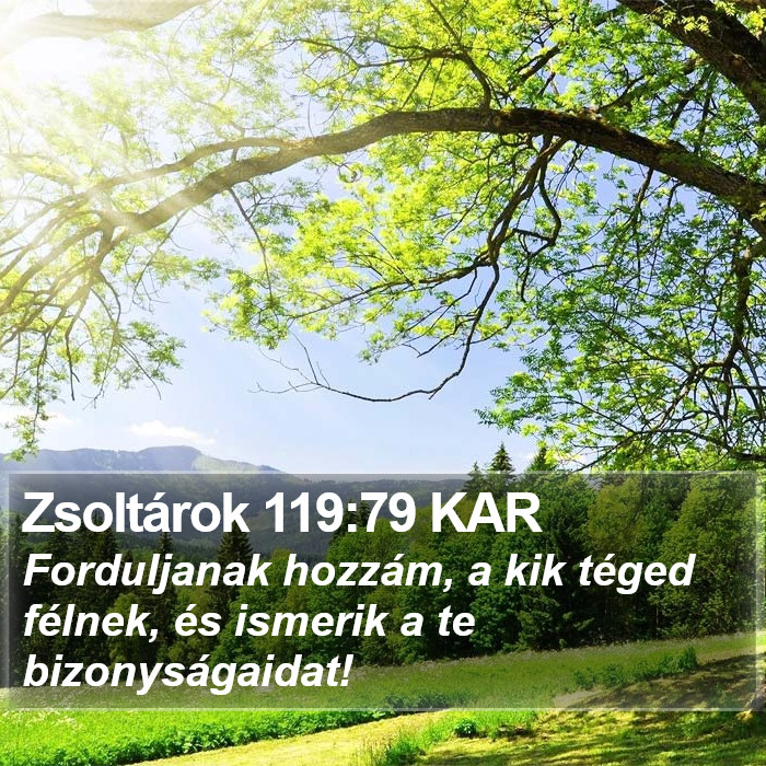Zsoltárok 119:79 KAR Bible Study