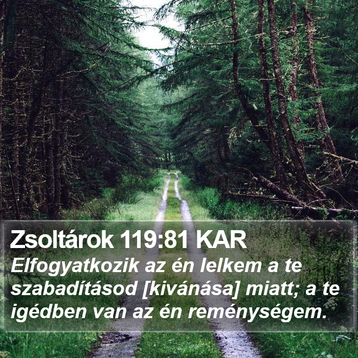 Zsoltárok 119:81 KAR Bible Study