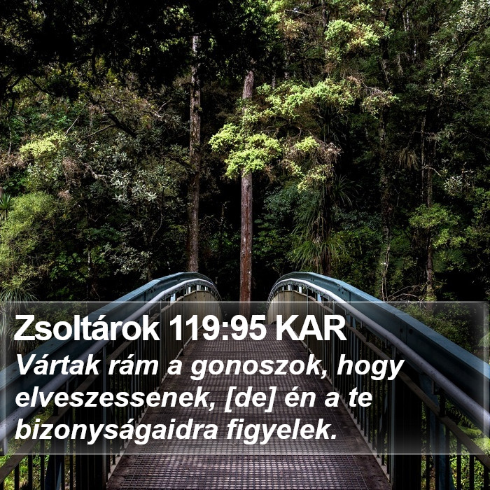 Zsoltárok 119:95 KAR Bible Study