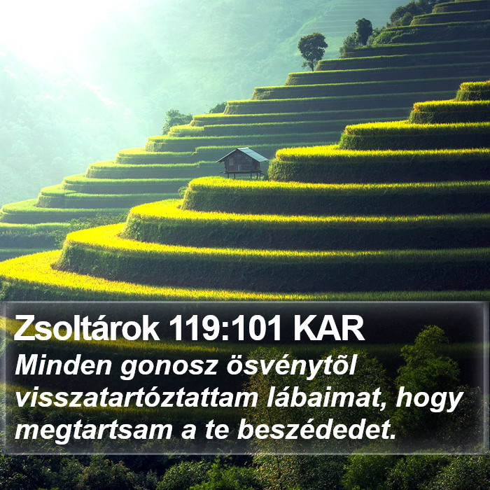 Zsoltárok 119:101 KAR Bible Study