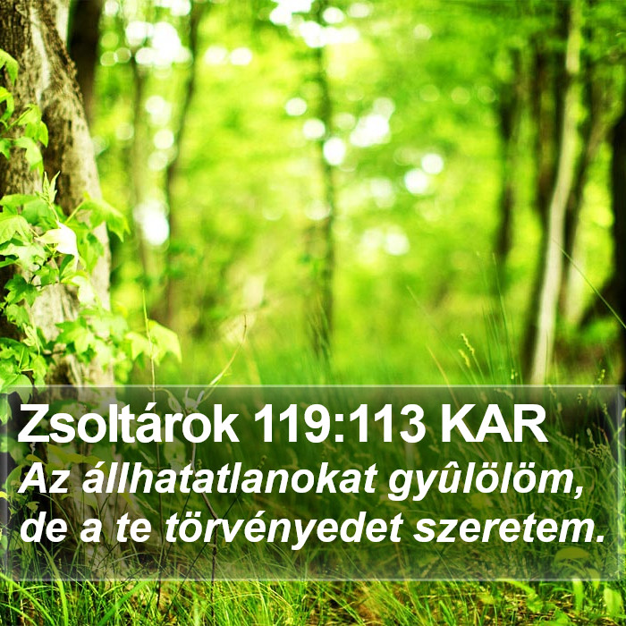 Zsoltárok 119:113 KAR Bible Study