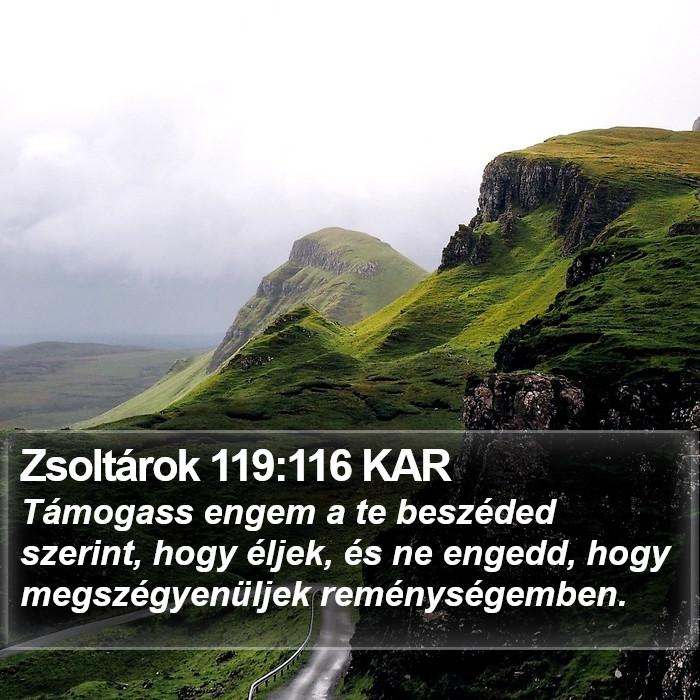 Zsoltárok 119:116 KAR Bible Study