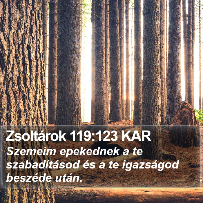 Zsoltárok 119:123 KAR Bible Study