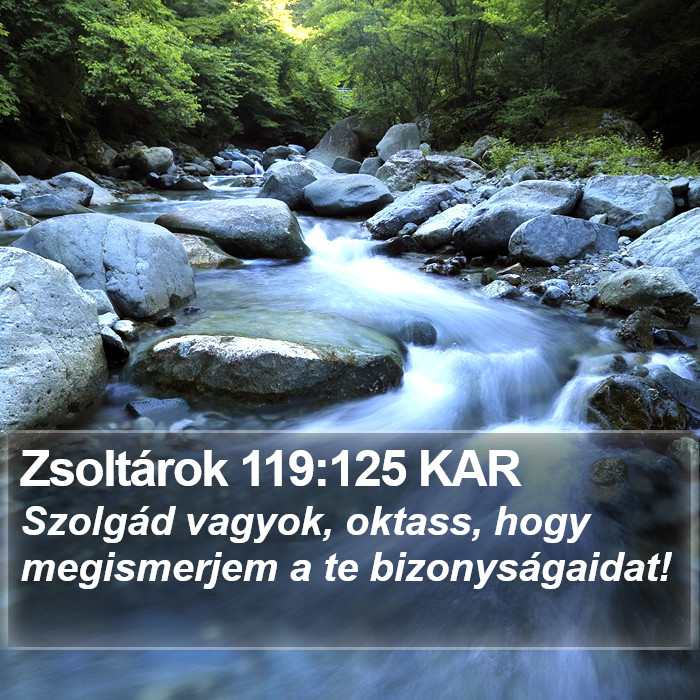 Zsoltárok 119:125 KAR Bible Study
