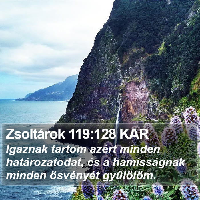 Zsoltárok 119:128 KAR Bible Study