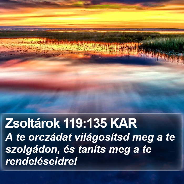 Zsoltárok 119:135 KAR Bible Study