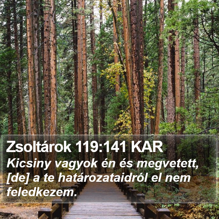Zsoltárok 119:141 KAR Bible Study