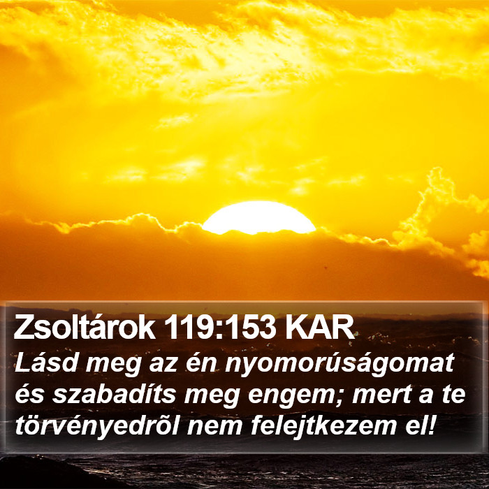 Zsoltárok 119:153 KAR Bible Study