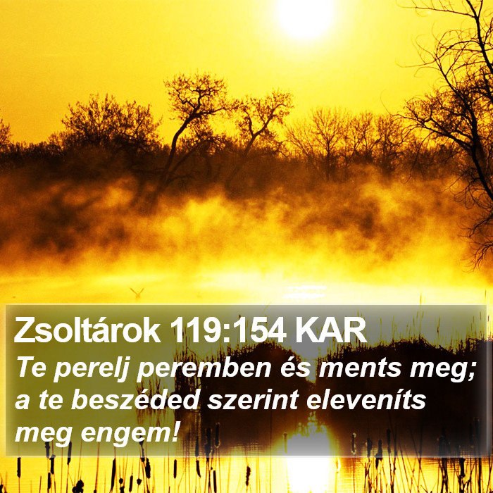 Zsoltárok 119:154 KAR Bible Study