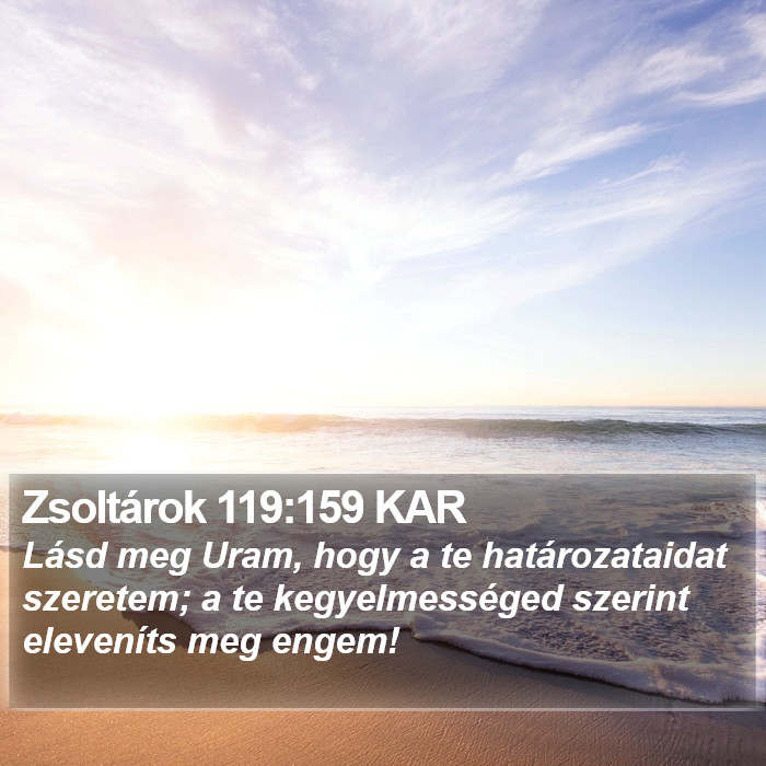 Zsoltárok 119:159 KAR Bible Study
