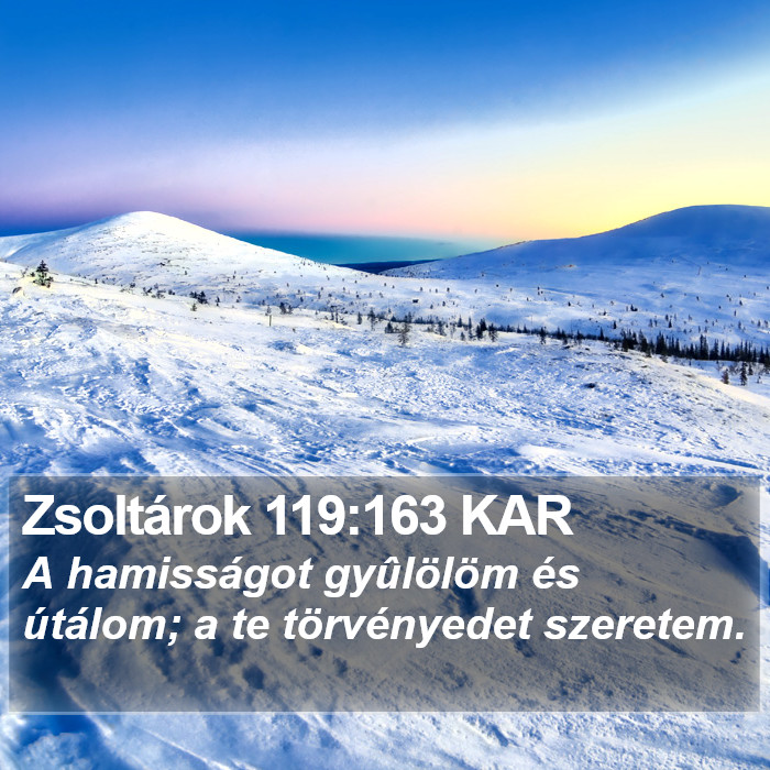 Zsoltárok 119:163 KAR Bible Study