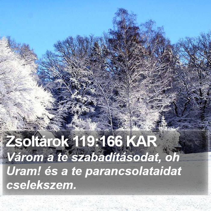 Zsoltárok 119:166 KAR Bible Study
