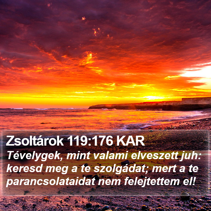 Zsoltárok 119:176 KAR Bible Study