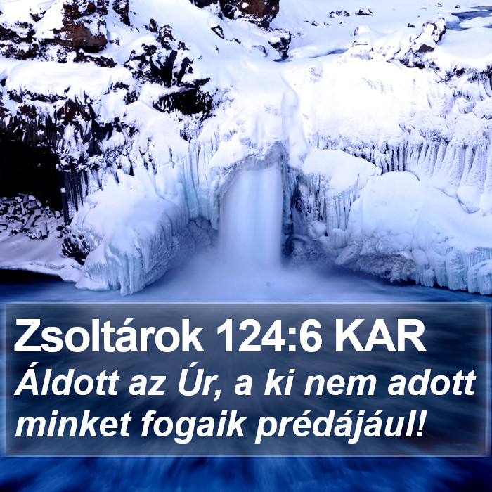 Zsoltárok 124:6 KAR Bible Study