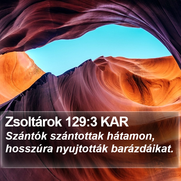 Zsoltárok 129:3 KAR Bible Study