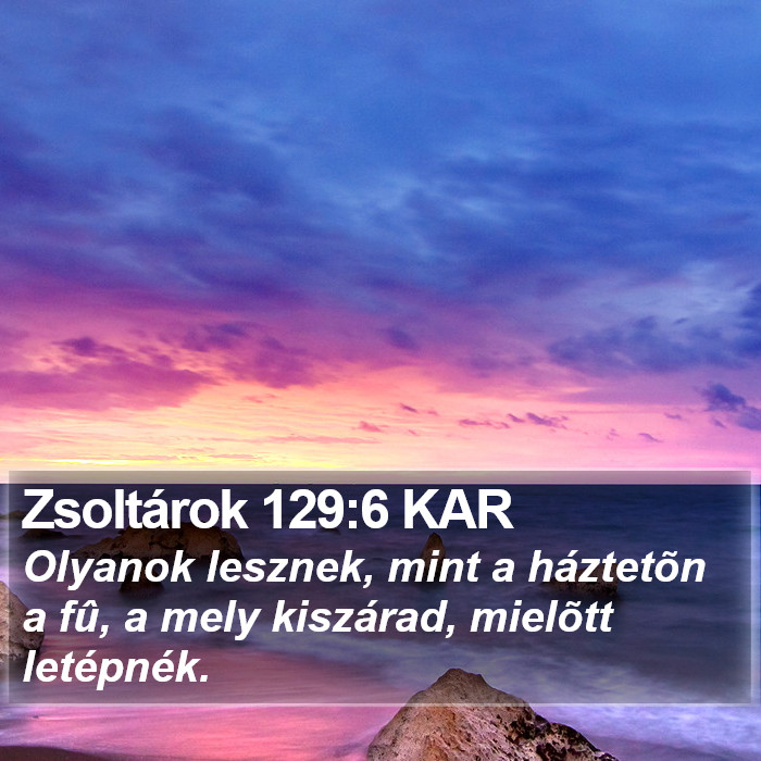 Zsoltárok 129:6 KAR Bible Study