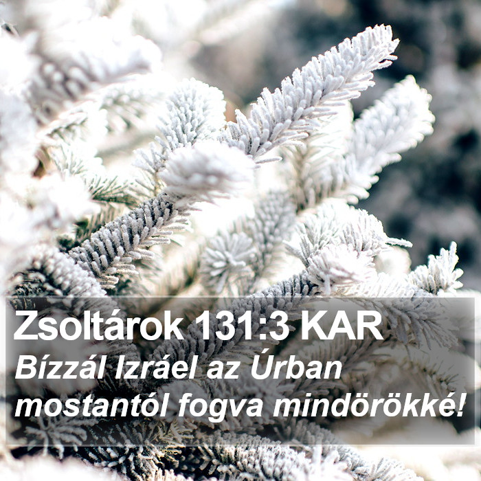 Zsoltárok 131:3 KAR Bible Study