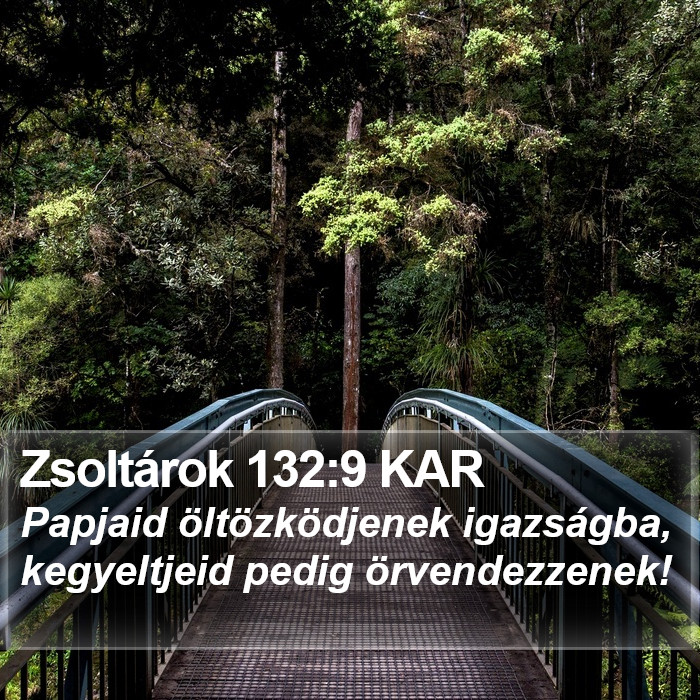 Zsoltárok 132:9 KAR Bible Study