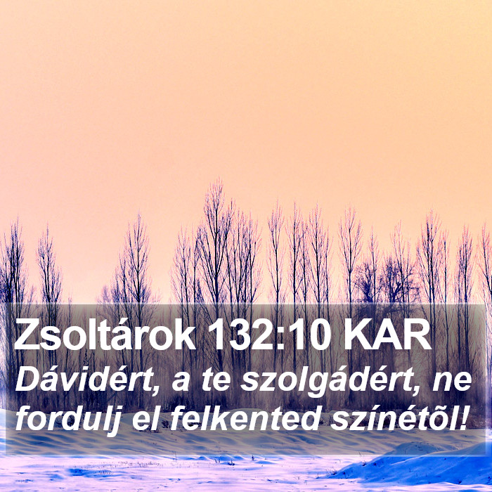 Zsoltárok 132:10 KAR Bible Study