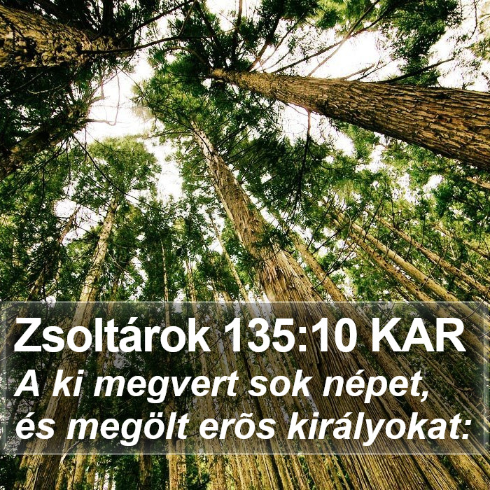 Zsoltárok 135:10 KAR Bible Study