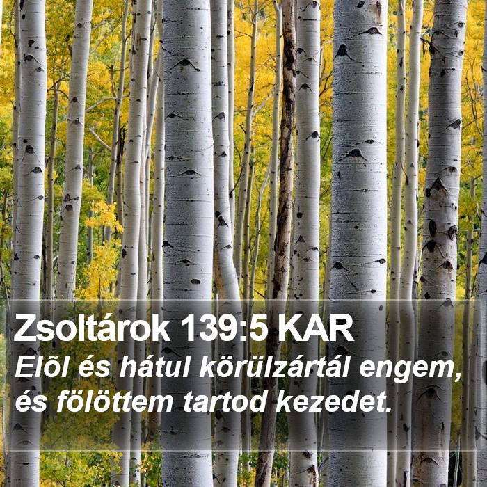 Zsoltárok 139:5 KAR Bible Study