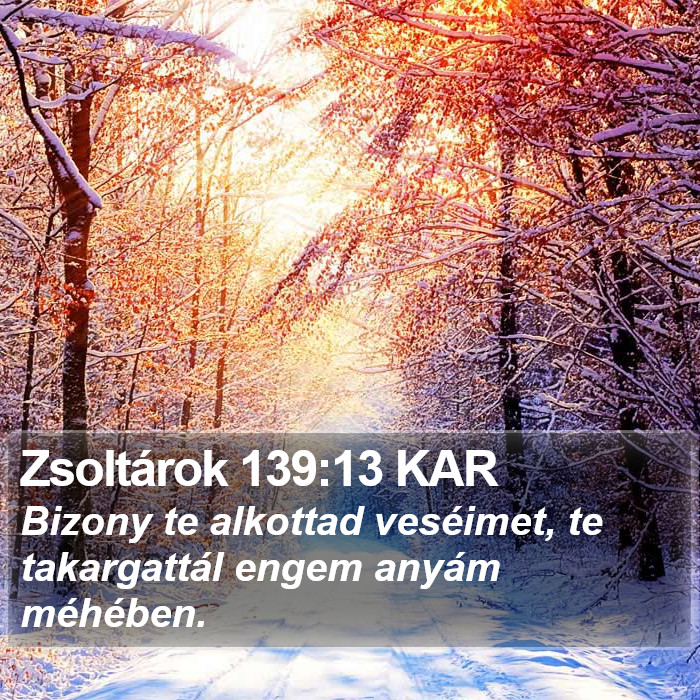 Zsoltárok 139:13 KAR Bible Study